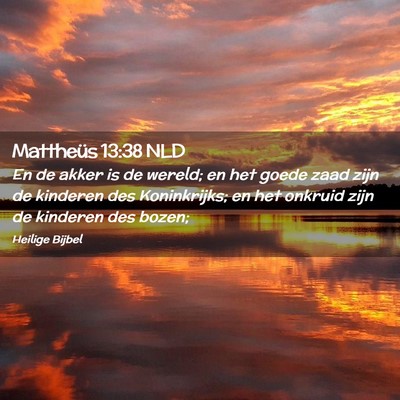 Picture 02 - Mattheüs 13:38 NLD - En de akker is de wereld; en het goede zaad zijn - Bible Verse Picture