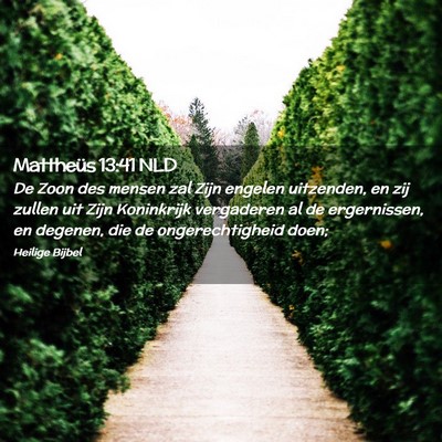 Picture 02 - Mattheüs 13:41 NLD - De Zoon des mensen zal Zijn engelen uitzenden, en - Bible Verse Picture