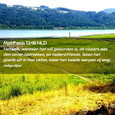 Picture 02 - Mattheüs 13:48 NLD - Hetwelk, wanneer het vol geworden is, de vissers - Bible Verse Picture