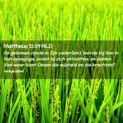 Picture 02 - Mattheüs 13:54 NLD - En gekomen zijnde in Zijn vaderland, leerde Hij - Bible Verse Picture