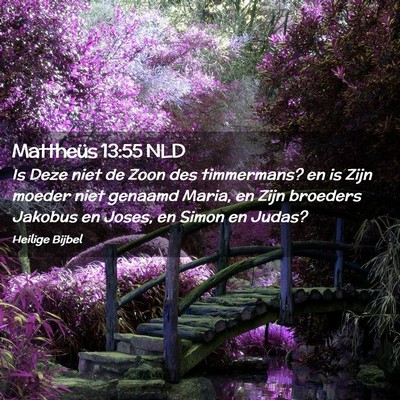 Picture 02 - Mattheüs 13:55 NLD - Is Deze niet de Zoon des timmermans? en is Zijn - Bible Verse Picture