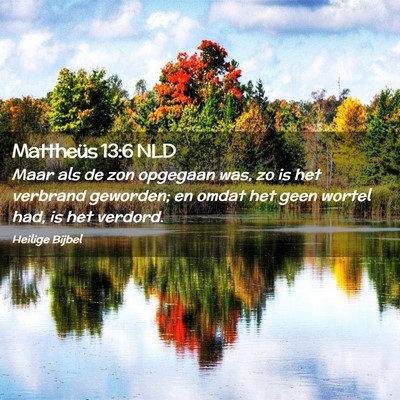 Picture 02 - Mattheüs 13:6 NLD - Maar als de zon opgegaan was, zo is het verbrand - Bible Verse Picture