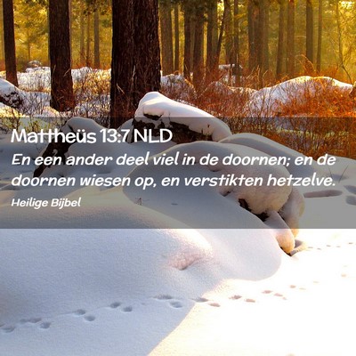 Picture 02 - Mattheüs 13:7 NLD - En een ander deel viel in de doornen; en de - Bible Verse Picture