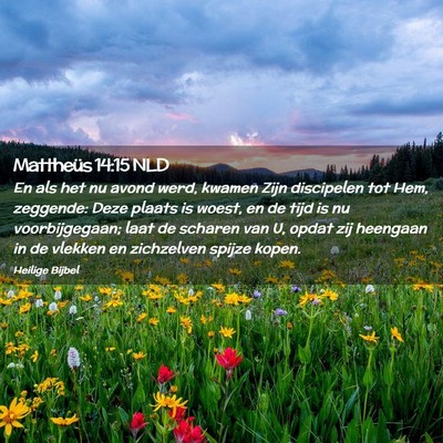 Picture 02 - Mattheüs 14:15 NLD - En als het nu avond werd, kwamen Zijn discipelen - Bible Verse Picture