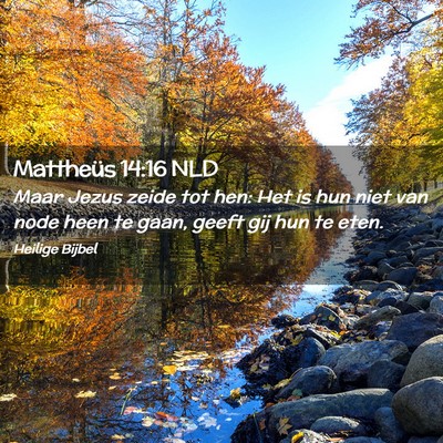 Picture 02 - Mattheüs 14:16 NLD - Maar Jezus zeide tot hen: Het is hun niet van - Bible Verse Picture