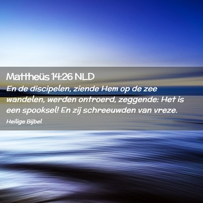Picture 02 - Mattheüs 14:26 NLD - En de discipelen, ziende Hem op de zee wandelen, - Bible Verse Picture