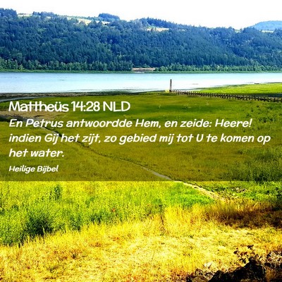 Picture 02 - Mattheüs 14:28 NLD - En Petrus antwoordde Hem, en zeide: Heere! indien - Bible Verse Picture