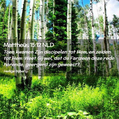 Picture 02 - Mattheüs 15:12 NLD - Toen kwamen Zijn discipelen tot Hem, en zeiden - Bible Verse Picture