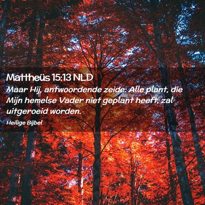 Picture 02 - Mattheüs 15:13 NLD - Maar Hij, antwoordende zeide: Alle plant, die - Bible Verse Picture