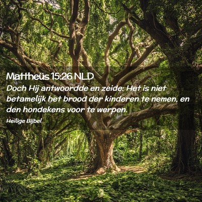 Picture 02 - Mattheüs 15:26 NLD - Doch Hij antwoordde en zeide: Het is niet - Bible Verse Picture