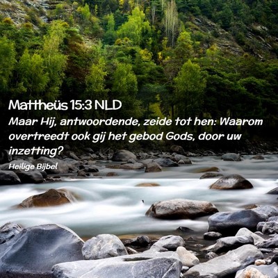Picture 02 - Mattheüs 15:3 NLD - Maar Hij, antwoordende, zeide tot hen: Waarom - Bible Verse Picture