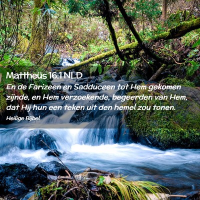 Picture 02 - Mattheüs 16:1 NLD - En de Farizeen en Sadduceen tot Hem gekomen - Bible Verse Picture
