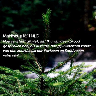 Picture 02 - Mattheüs 16:11 NLD - Hoe verstaat gij niet, dat Ik u van geen brood - Bible Verse Picture