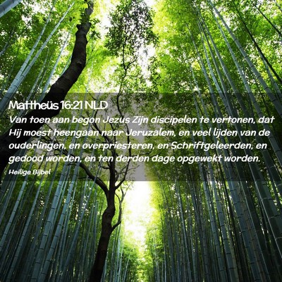 Picture 02 - Mattheüs 16:21 NLD - Van toen aan begon Jezus Zijn discipelen te - Bible Verse Picture