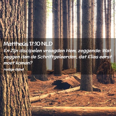 Picture 02 - Mattheüs 17:10 NLD - En Zijn discipelen vraagden Hem, zeggende: Wat - Bible Verse Picture