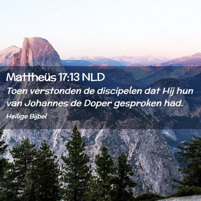Picture 02 - Mattheüs 17:13 NLD - Toen verstonden de discipelen dat Hij hun van - Bible Verse Picture