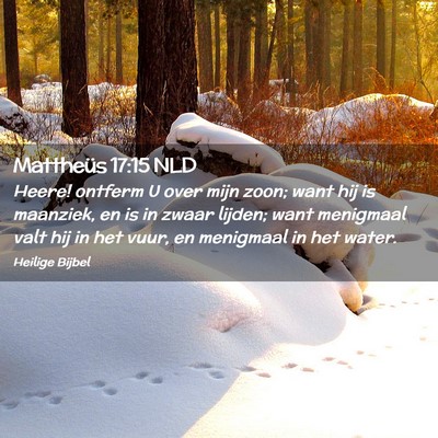 Picture 02 - Mattheüs 17:15 NLD - Heere! ontferm U over mijn zoon; want hij is - Bible Verse Picture