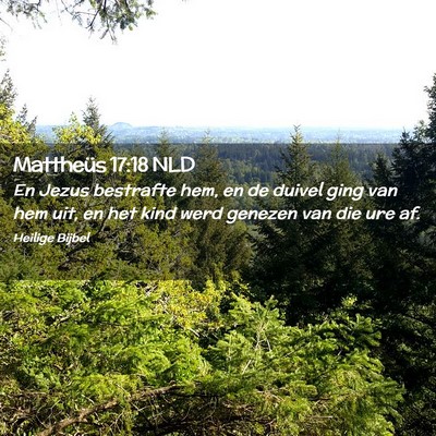 Picture 02 - Mattheüs 17:18 NLD - En Jezus bestrafte hem, en de duivel ging van hem - Bible Verse Picture
