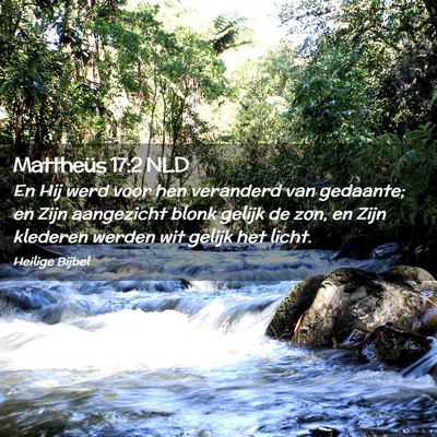Picture 02 - Mattheüs 17:2 NLD - En Hij werd voor hen veranderd van gedaante; en - Bible Verse Picture