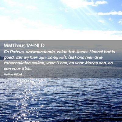 Picture 02 - Mattheüs 17:4 NLD - En Petrus, antwoordende, zeide tot Jezus: Heere! - Bible Verse Picture
