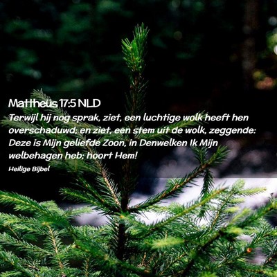 Picture 02 - Mattheüs 17:5 NLD - Terwijl hij nog sprak, ziet, een luchtige wolk - Bible Verse Picture