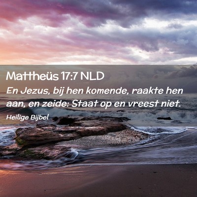 Picture 02 - Mattheüs 17:7 NLD - En Jezus, bij hen komende, raakte hen aan, en - Bible Verse Picture