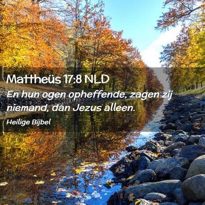 Picture 02 - Mattheüs 17:8 NLD - En hun ogen opheffende, zagen zij niemand, dan - Bible Verse Picture