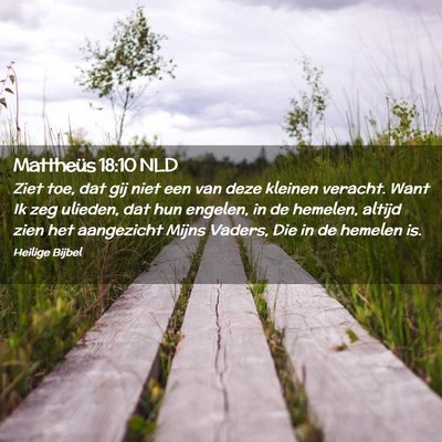 Picture 02 - Mattheüs 18:10 NLD - Ziet toe, dat gij niet een van deze kleinen - Bible Verse Picture