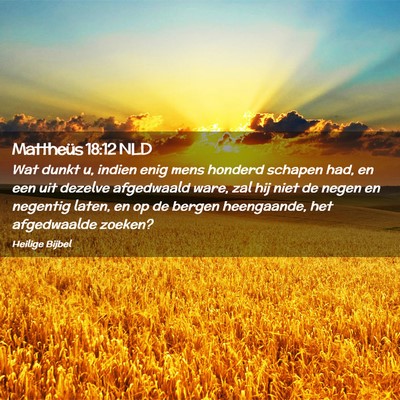 Picture 02 - Mattheüs 18:12 NLD - Wat dunkt u, indien enig mens honderd schapen - Bible Verse Picture