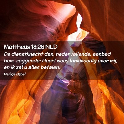 Picture 02 - Mattheüs 18:26 NLD - De dienstknecht dan, nedervallende, aanbad hem, - Bible Verse Picture