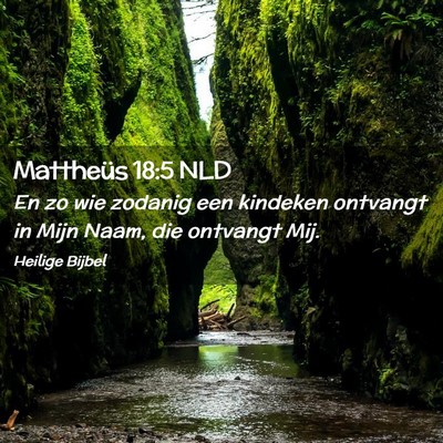 Picture 02 - Mattheüs 18:5 NLD - En zo wie zodanig een kindeken ontvangt in Mijn - Bible Verse Picture