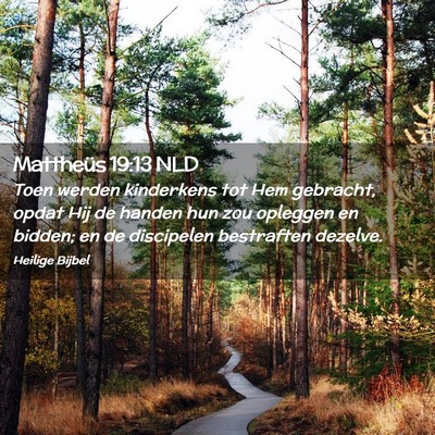 Picture 02 - Mattheüs 19:13 NLD - Toen werden kinderkens tot Hem gebracht, opdat - Bible Verse Picture