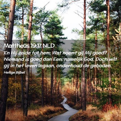 Picture 02 - Mattheüs 19:17 NLD - En Hij zeide tot hem: Wat noemt gij Mij goed? - Bible Verse Picture