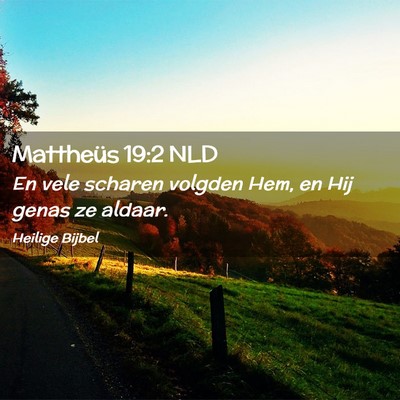 Picture 02 - Mattheüs 19:2 NLD - En vele scharen volgden Hem, en Hij genas ze - Bible Verse Picture