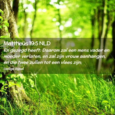 Picture 02 - Mattheüs 19:5 NLD - En gezegd heeft: Daarom zal een mens vader en - Bible Verse Picture