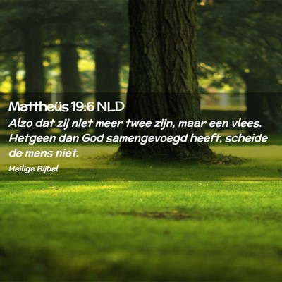 Picture 02 - Mattheüs 19:6 NLD - Alzo dat zij niet meer twee zijn, maar een vlees. - Bible Verse Picture