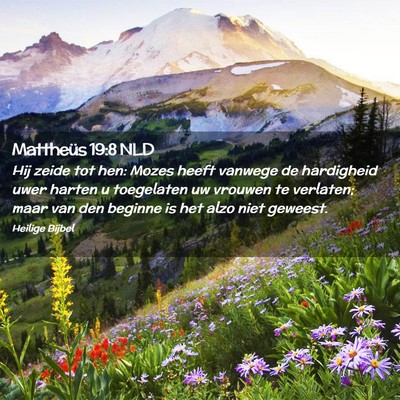 Picture 02 - Mattheüs 19:8 NLD - Hij zeide tot hen: Mozes heeft vanwege de - Bible Verse Picture