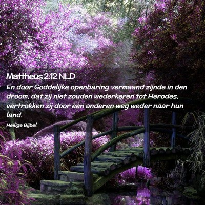 Picture 02 - Mattheüs 2:12 NLD - En door Goddelijke openbaring vermaand zijnde in - Bible Verse Picture