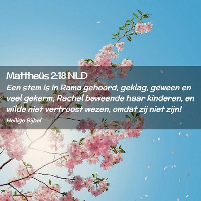 Picture 02 - Mattheüs 2:18 NLD - Een stem is in Rama gehoord, geklag, geween en - Bible Verse Picture