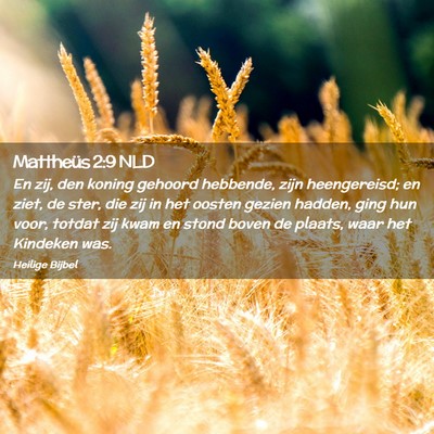 Picture 02 - Mattheüs 2:9 NLD - En zij, den koning gehoord hebbende, zijn - Bible Verse Picture