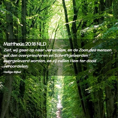 Picture 02 - Mattheüs 20:18 NLD - Ziet, wij gaan op naar Jeruzalem, en de Zoon des - Bible Verse Picture