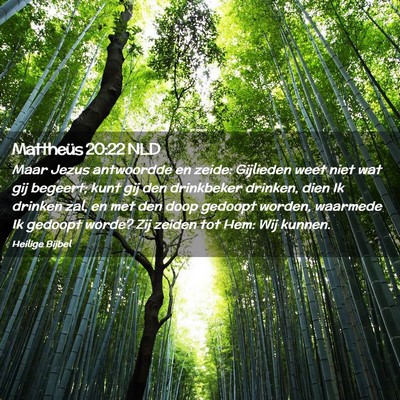 Picture 02 - Mattheüs 20:22 NLD - Maar Jezus antwoordde en zeide: Gijlieden weet - Bible Verse Picture