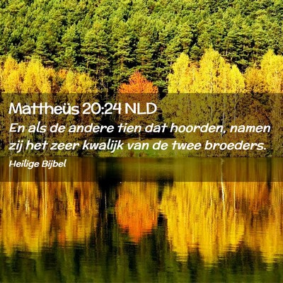 Picture 02 - Mattheüs 20:24 NLD - En als de andere tien dat hoorden, namen zij het - Bible Verse Picture