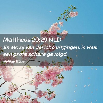Picture 02 - Mattheüs 20:29 NLD - En als zij van Jericho uitgingen, is Hem een - Bible Verse Picture