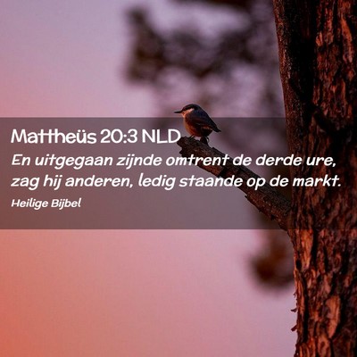 Picture 02 - Mattheüs 20:3 NLD - En uitgegaan zijnde omtrent de derde ure, zag hij - Bible Verse Picture