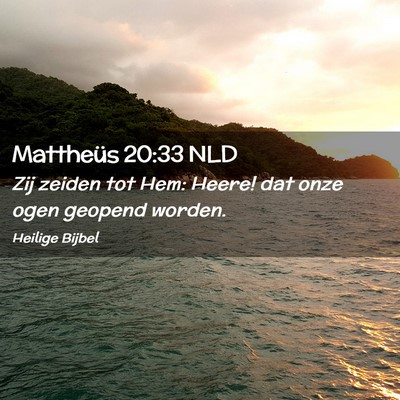 Picture 02 - Mattheüs 20:33 NLD - Zij zeiden tot Hem: Heere! dat onze ogen geopend - Bible Verse Picture