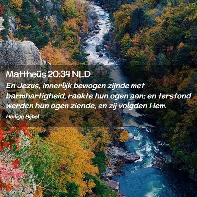 Picture 02 - Mattheüs 20:34 NLD - En Jezus, innerlijk bewogen zijnde met - Bible Verse Picture