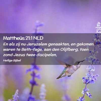 Picture 02 - Mattheüs 21:1 NLD - En als zij nu Jeruzalem genaakten, en gekomen - Bible Verse Picture
