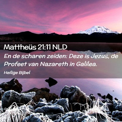 Picture 02 - Mattheüs 21:11 NLD - En de scharen zeiden: Deze is Jezus, de Profeet - Bible Verse Picture