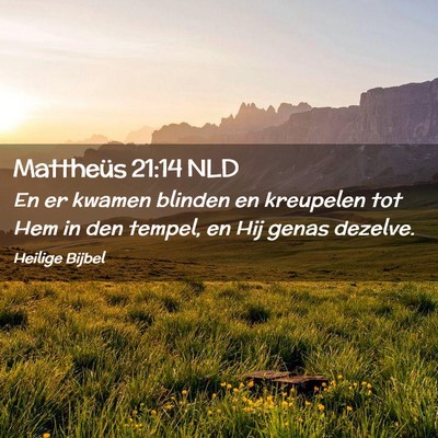 Picture 02 - Mattheüs 21:14 NLD - En er kwamen blinden en kreupelen tot Hem in den - Bible Verse Picture